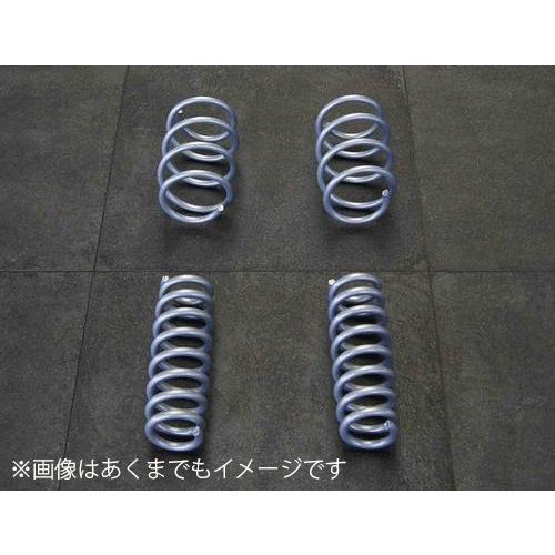 HAMANN ハーマン BMW 3シリーズ F34 スプリングキット ダウンサス サスペンション