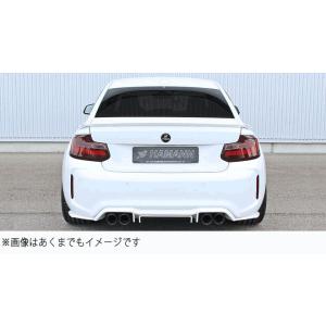 HAMANN ハーマン BMW 2シリーズ F87 リアセンターモールディング Rear Cente...