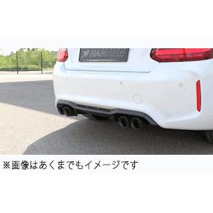 HAMANN ハーマン BMW 2シリーズ F87 リアディフューザー カーボン Rear Diff...
