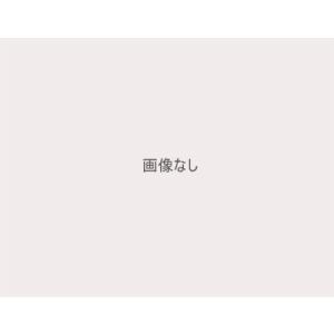 HAMANN ハーマン BMW 2シリーズ F87 スプリングキット ４Springs ダウンサス