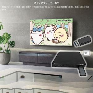 DVDプレーヤー 車載用 DVD CD 再生専...の詳細画像3