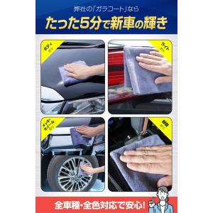 ガラス系 コーティング ガラコート ガラス系コ...の詳細画像3