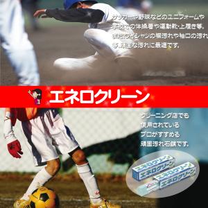 業務用洗剤エネロクリーンM-169g3本セット...の詳細画像3