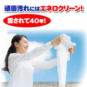 業務用洗剤エネロクリーンM-169g12本セッ...の詳細画像2