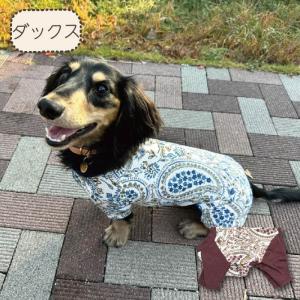 犬 服 犬服 Web限定ペイズリープリントカバーオール 冬 秋 秋冬 冬服 小型犬 ダックス 胴長 短長 ブランド おしゃれ 安い 可愛い お揃い ペットウェア ペット服｜very-pet