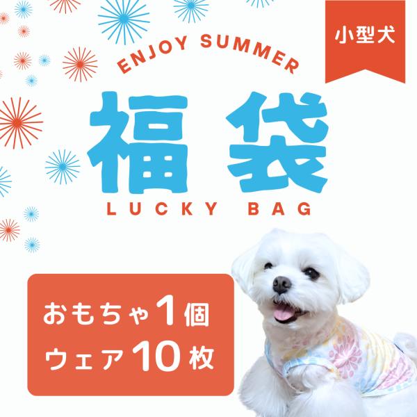 犬服 ドッグウェア 犬用品 VERY 送料無料 福袋 おもちゃ 小型犬 夏 春 安い 可愛い  クー...