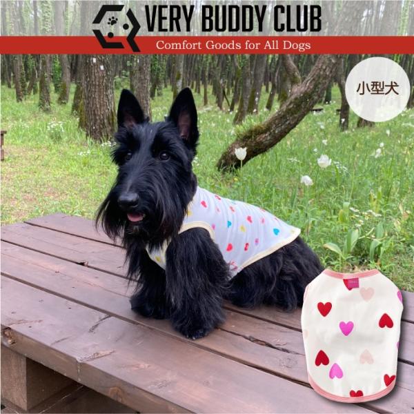 犬服 VERY 小型犬 胴長 ダックス Web限定ハートプリント タンクトップ 夏 春 春夏 春夏秋...