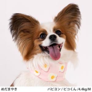 熱中症対策 保冷剤付き クールバンダナ 犬服 ...の詳細画像4
