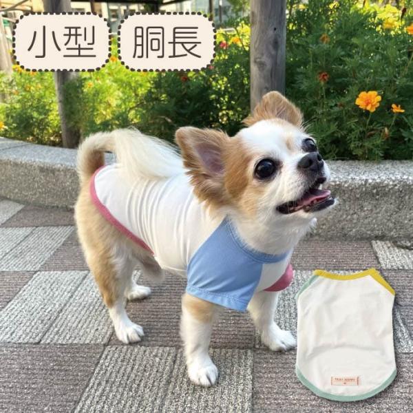 犬服 VERY 接触冷感 濡らして冷たい カラーブロッククールTシャツ 夏 春 夏服 小型犬 胴長 ...