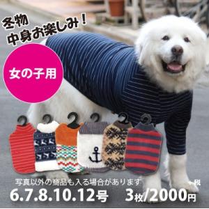 犬 服 VERY 中型犬 大型犬　Web限定　秋冬服3枚セット　女の子カラー（※色・柄は選べません）6号・7号・8号・10号・12号　特価　在庫限り