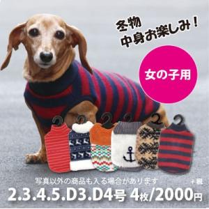 犬 服 VERY 小型犬　Web限定　秋冬服4枚セット　女の子カラー（※色・柄は選べません）2号・3号・4号・5号・D3号・D4号　特価　在庫限り ドッグウェア