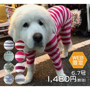 犬 服 VERY 中型犬　Web限定　カバーオール　6号・7号 つなぎ　2018冬新発売　在庫限り