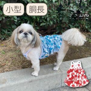 犬服 VERY Web限定 接触冷感 濡らして冷たい キャミソールクールワンピース 夏 春 夏服 小型犬 胴長 ダックス 2024SS 爆買｜VERY-PET ヤフーショップ