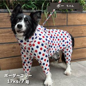 犬服 VERY ストレッチフルカバー レインコ...の詳細画像2