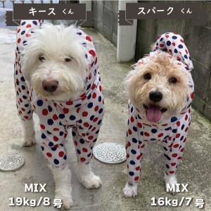 犬服 VERY ストレッチフルカバー レインコ...の詳細画像4