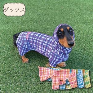 VERY 犬 服 犬服 ブランド 夏 春 春夏 夏服 ダックス 胴長 おしゃれ