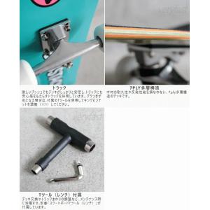 ダブスタック 子供用スケートボード コンプリー...の詳細画像3