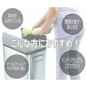 EKO ゴミ箱 レビュー特典付き ごみ箱 45...の詳細画像1