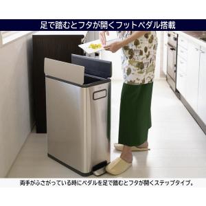 EKO ゴミ箱 レビュー特典付き ごみ箱 45...の詳細画像4
