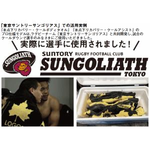 ロゴス タオル ボディタオル 冷凍タオル クー...の詳細画像2