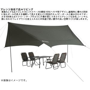 ロゴス ヘキサタープ ヘキサ型タープ 六角形 ...の詳細画像3