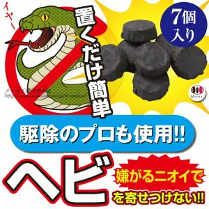 メイダイ へび ヘビ 蛇の詳細画像1