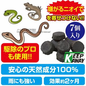 メイダイ へび ヘビ 蛇の詳細画像3