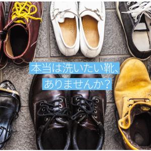 メイダイ クリーナー 水のいらない靴用シャンプ...の詳細画像2