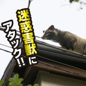 メイダイ 忌害獣駆除 忌避剤 害獣忌避 害獣駆...の詳細画像2