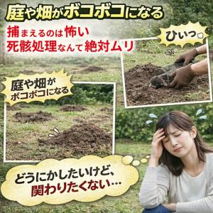 メイダイ 駆除用即効性忌避剤 モグラ 業務用 ...の詳細画像2