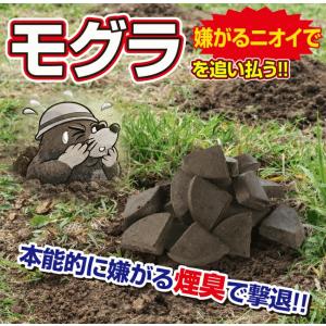 メイダイ 駆除用即効性忌避剤 モグラ 業務用 ...の詳細画像4