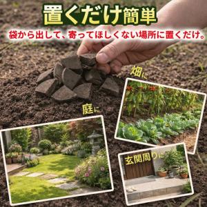 メイダイ 駆除用即効性忌避剤 モグラ 業務用 ...の詳細画像5