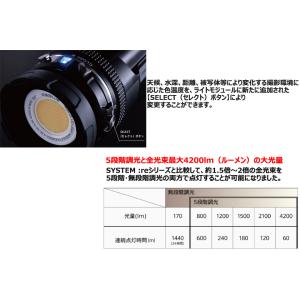 RGBlue SYSTEM02 Tricolo...の詳細画像3