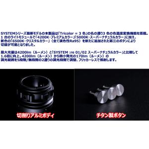 RGBlue SYSTEM02 Tricolo...の詳細画像4