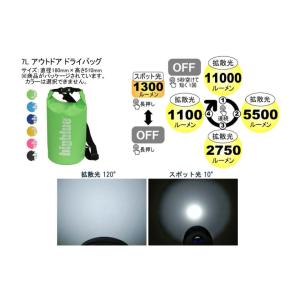 BIGBLUE ビッグブルー 水中ライト LE...の詳細画像2