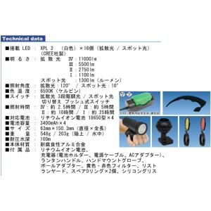 BIGBLUE ビッグブルー 水中ライト LE...の詳細画像3