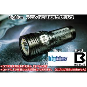BIGBLUE ビッグブルー 水中ライト LE...の詳細画像5