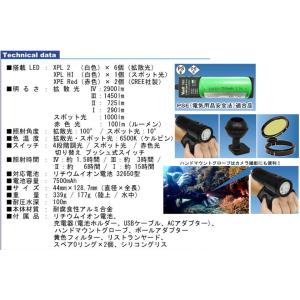 BIGBLUE ビッグブルー 水中ライト VT...の詳細画像2