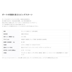 JOP-305W 予備検査付き 超高圧電動ポン...の詳細画像4