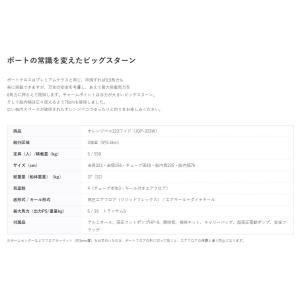 JOP-323W 予備検査付き 超高圧電動ポン...の詳細画像4