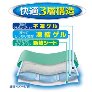アイスノン ソフト 14時間 x2個セット 白...の詳細画像2