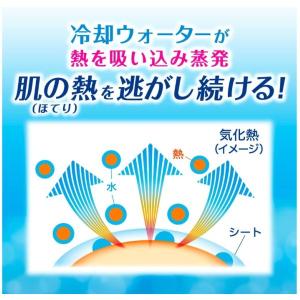 2個セット ビオレ 冷タオル 無香性 5枚入 ...の詳細画像1