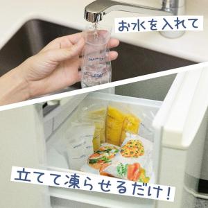 ケミカルジャパン チャック付き 製氷袋 極太 ...の詳細画像3