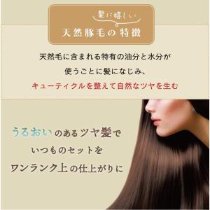 ヘアブラシ 折りたたみブラシ 豚毛 天然毛 1...の詳細画像3
