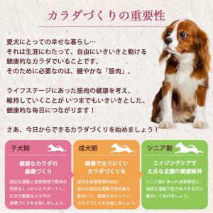 おまけ付き フィジカライフ Physicali...の詳細画像4