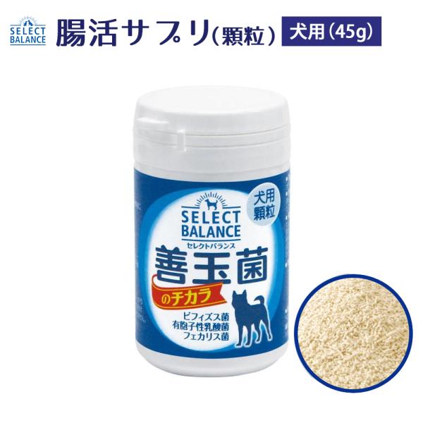 おまけ対象外 ペット 乳酸菌 セレクトバランス 善玉菌のチカラ 犬用 顆粒 45g 粉 ペット 犬 ...
