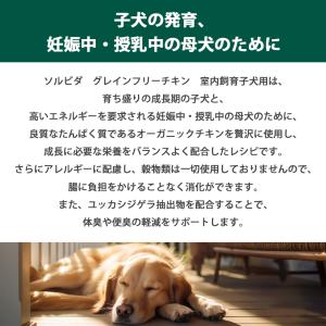 おまけ付き ソルビダ グレインフリー チキン ...の詳細画像2