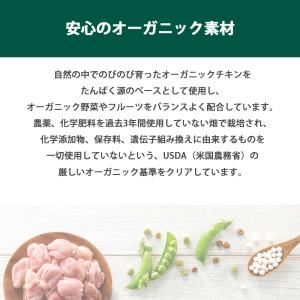 おまけ付き ソルビダ グレインフリー チキン ...の詳細画像3