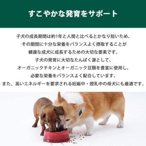 おまけ付き ソルビダ グレインフリー チキン ...の詳細画像4