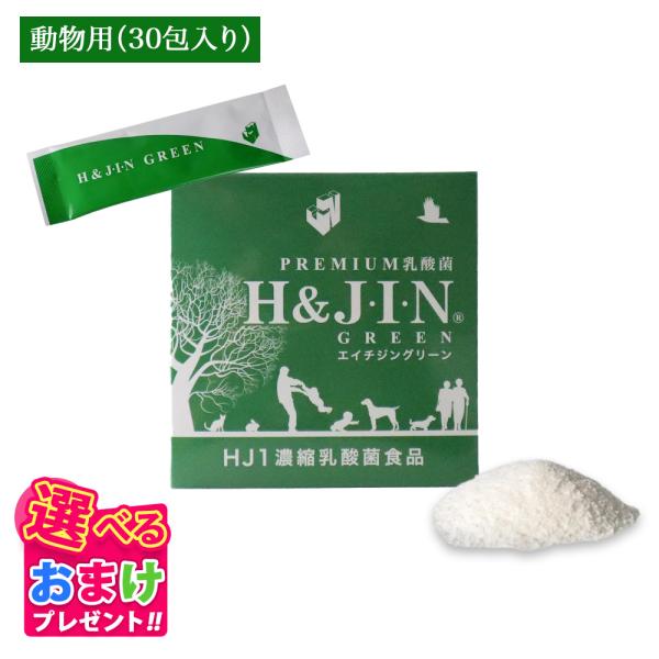 おまけ付き ペット ペット用 乳酸菌 乳酸菌エイチジングリーン 動物用 H&amp;JIN 動物用 30包 ...